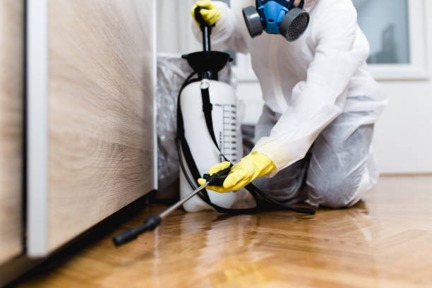 Professional Pest Control in Ypsilanti, MI