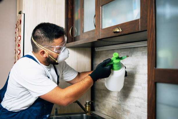 Best Residential Pest Control  in Ypsilanti, MI