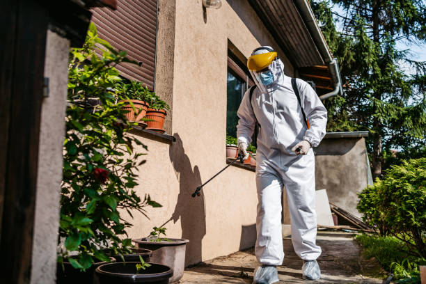 Best Rodent Control Near Me  in Ypsilanti, MI