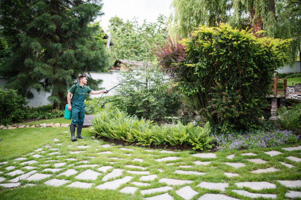 Best Affordable Exterminators  in Ypsilanti, MI
