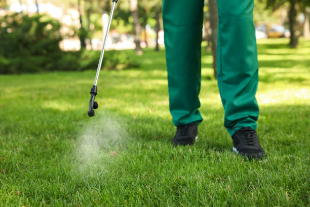 Best Rat Extermination Near Me  in Ypsilanti, MI