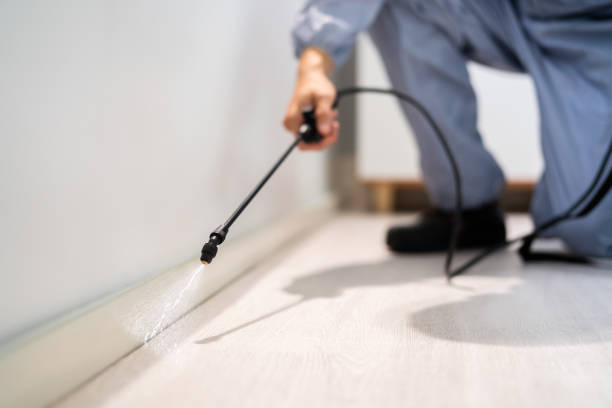Best Best Pest Control Companies  in Ypsilanti, MI