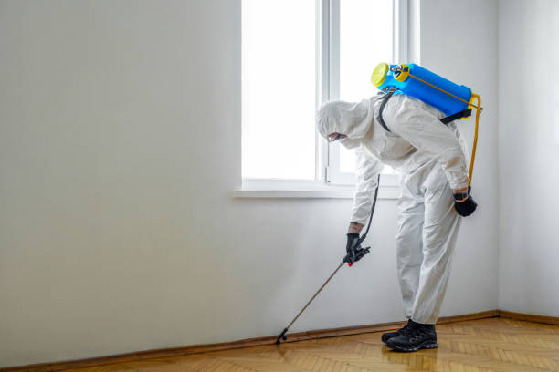 Best Wildlife Control Services  in Ypsilanti, MI