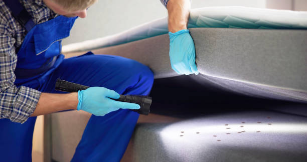 Best Commercial Pest Control Services  in Ypsilanti, MI