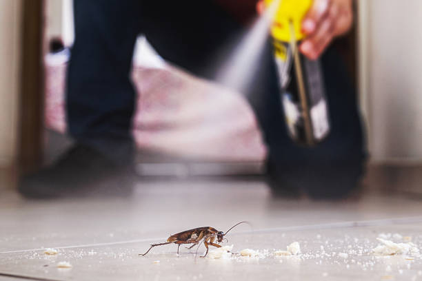 Best Pest Removal Services  in Ypsilanti, MI