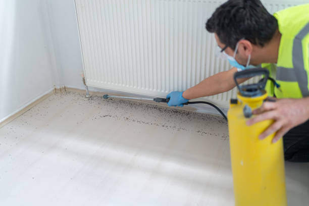 Best Local Pest Control Services  in Ypsilanti, MI